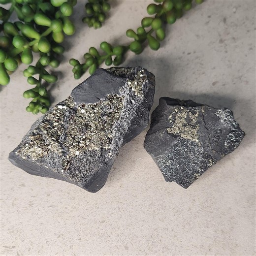 Shungite With Pyrite Specimens - Etsy
