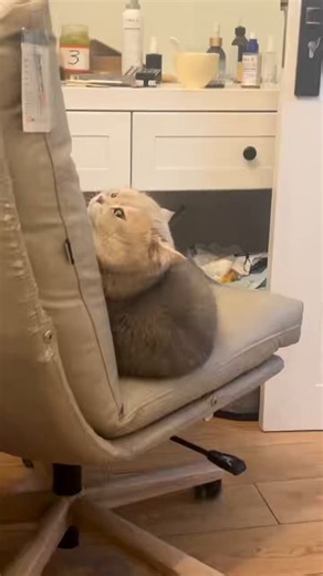 Post by Frans Cahya Arsadana on X: #唐山 唐山个人