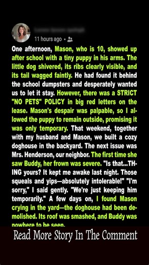 On a quest for new stories? Dive into "Read More" at The Comment, where every turn brings a fresh adventure! 📖✨ #StoryTime #ReadMore #AdventureAwaits | TimeLoop Story