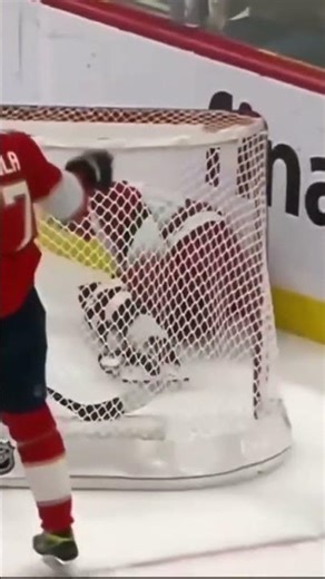 How is this not called a penalty? #nhl #floridapanthers #nhlcanes