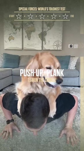 Push up challenge with a 75lb dog! | Ellie Golden Life