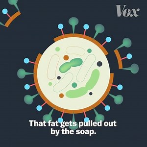 12K views · 366 reactions | The best way to prevent the spread of...