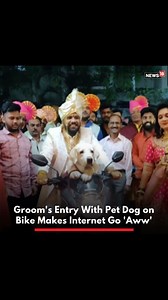 49K views · 338 reactions | This groom took the "Dogs are a man's best friend" saying literally with his pet dog being the 'best man' on his wedding. Posted by Darshan Nandu Pol on Instagram with the caption "Like A Boss," the adorable dog was also dressed in a sherwani for the big day. #dogs #dogvideo #doglover #doglife #weddingday #viralvideos #indianwedding #shaadi | News18 | Facebook