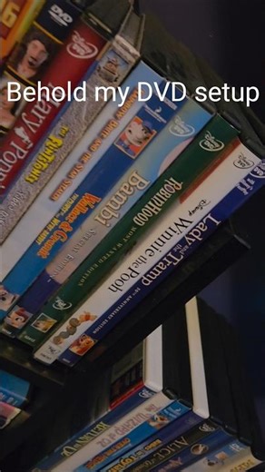 this is my full DVD collection