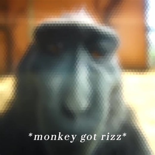 Monkey's Rizz: The Ultimate Meme Showcase