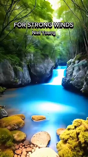 Strong Winds by Neil Young: Meaning and Lyrics