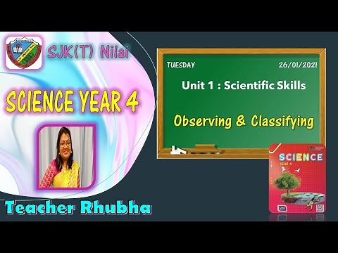 Science Year 4 DLP - Scientific Skills (Observing & Classifying)