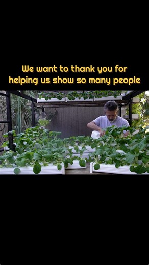 Cheap and Easy Hydroponics You Can Do!😀❤🌿 #diy #hydroponics #gardening #microgreens | Keep on Growin'