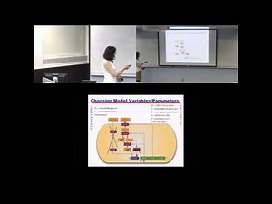 Boolean network models of gene regulation and signal transduction
