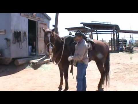 Correcting a Horse that Moves when Mounting.wmv