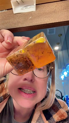 Gnat and Fruit Fly Infestation Solutions