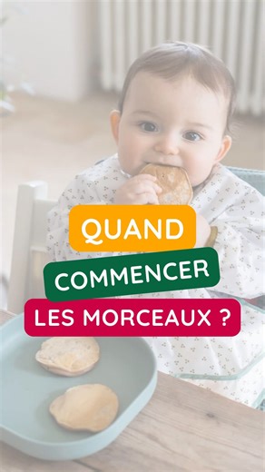 192K views · 1.3K reactions | LES MORCEAUX 駱 Bébé est prêt à passer aux morceaux lorsqu’il :  a plu de 6 mois  se maintient le dos droit dans sa chaise  tient sa tête droite  s’intéresse à la nourriture  fait du main-bouche Toutes les recettes de fingers food sont sur l’app Cuisinez pour bébé ▶️ lien en bio | Cuisinez pour bébé | Facebook