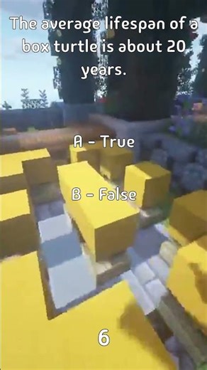 The average lifespan of a box turtle is about 20 years.