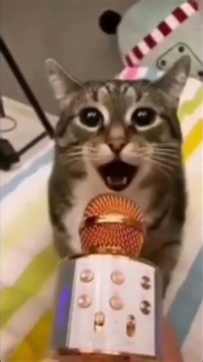 PvZ humor s2e02 Cat Microphone