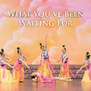 1.5K reactions · 239 shares | A performance that truly matters. This is what you've been waiting for in life. MAR 9–10 | Spokane APR 3–7 | Seattle Tickets start from $80.  Book early for the best seats: ShenYun.com/wa?tb=1 | Shen Yun | Facebook