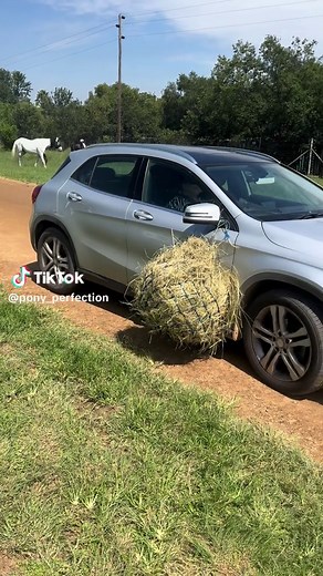 Lanet Du Plessis on TikTok