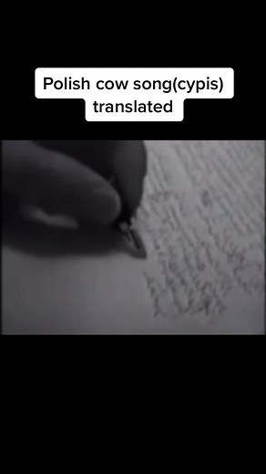 Polish Cow Translated to Serbian