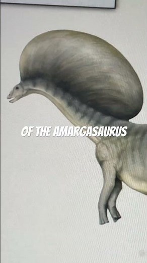 History of Amargasaurus 🔺