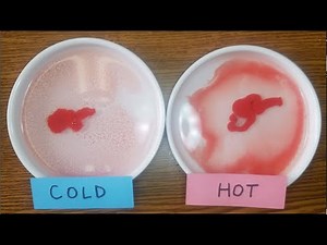 How to Solve Solubility Curve Problems (with Demonstration!)