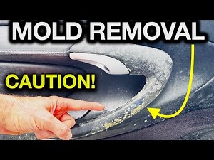 Deep Cleaning Secrets: Removing Mold from Porsche Interior Leather and Plastics