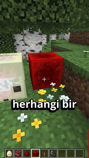 MİNECRAFTA TNT SÜLFÜR KÜPLERİ VE GAYZERLER EKLENDİ! #shorts #minecraft