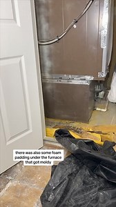 DIY Mold Remediation Part 4! This is why you ALWAYS cut above the water line! #DIY #mold #remediation | Nik and Liv DIY