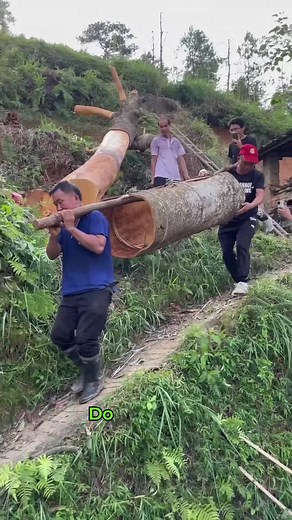 Cinnamon: The Surprising Tree Source Behind Your Spice