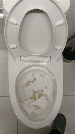 2021 VIDEO: 2010s Toto Ultramax 2 Toilet vs 25 Feet.