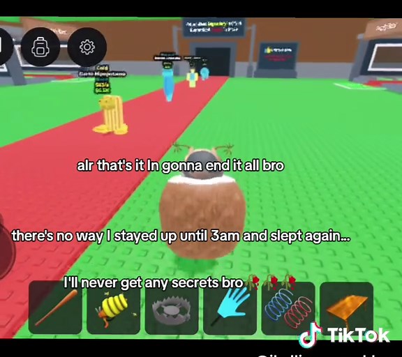 Navigating Life in Roblox: A Player's Journey