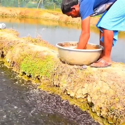 1.2K views | Hungry Fish | Physics Theories | Facebook