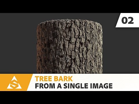 Tree Bark - from a Single Image with Substance Alchemist | Adobe Substance 3D