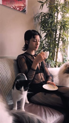 Kriss Soonik Japan on Instagram: "Full of surprises.（予想を超えていく。） This is Kriss Soonik 🐾 ロンドンのクリエイティブチームが 日本のためだけに制作した特別な動画シリーズです We are celebrating Kriss Soonik with a video series created exclusively for Japan by an incredible London team 🖤 Video: Bill Thisdell @billthisdell Model: Amie S @amiestafford Shoot coordinator: Tamara Travani @tamaratravani Stylist: Julia Halasy @meta4ngelic Special thanks to @whiskerslondon for hosting us and providing us with the most gorgeous fluffy models"