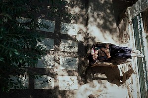 The Botanist (2025) | ČSFD.cz