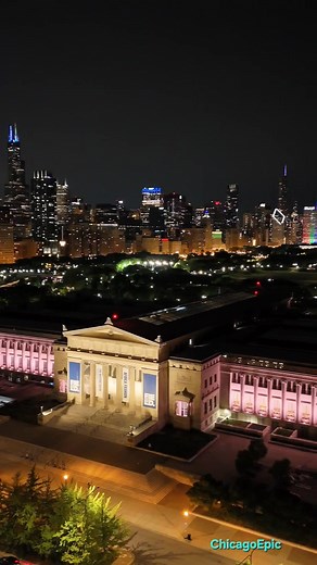 2.6K views · 214 reactions | Field Museum in Chicago | Chicago Epic | Facebook
