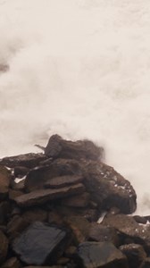 Ontdek de nieuwe collectie. #cecil | CECIL