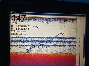 What are the best electronics for salmon fishing?