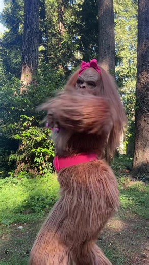 Building an Algorithm Brick by Brick