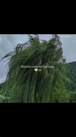 Duniya me mujhe tumne jab ana banaya h😇🥀