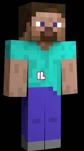 mr minecraft #minecraft
