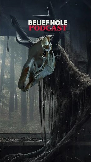 Don't Go Into The Woods Alone: True Horror In Appalachia!!