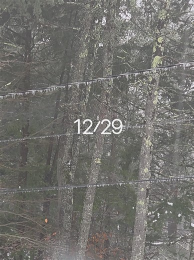 Ice Storm Report: New Hampshire Winter Weather Update