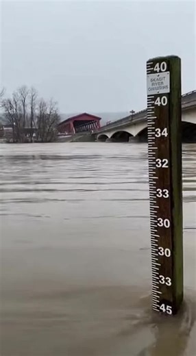 Native Man X (@nativemanx)’s videos with original sound - Native Man X