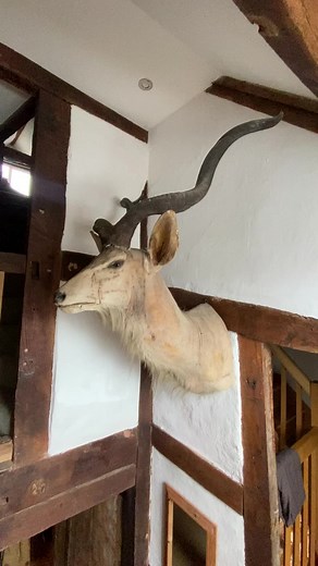 Peter John Weir (@peterjohnweir)’s videos with original sound - Peter John Weir