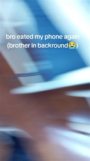 wawa cat lover on TikTok