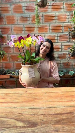 Alex B PY on Instagram: "Oky el amor ha la pira pire 😍❤️"