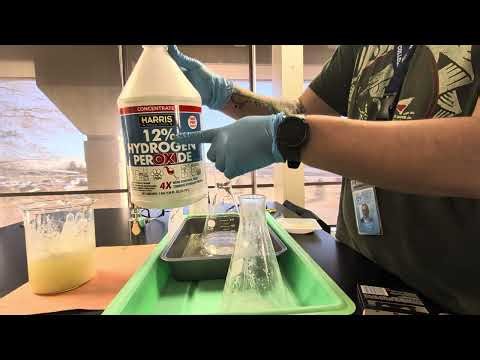 H2O2 + yeast Decomposition Part 1