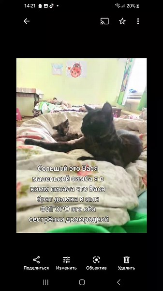 Katya Cat (@katya.cat089)’s videos with lovely - sped up   reverb - pearl & fast forward >> & Tazzy