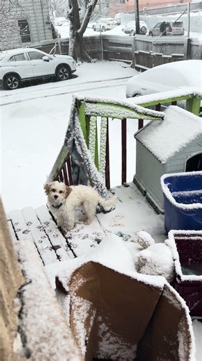 Mi niño coco feliz jugando en la nieve el no letiene miedo al frio