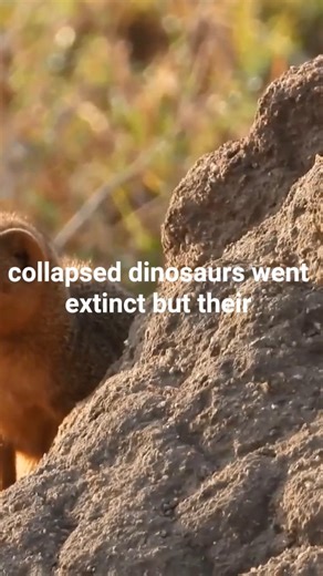 Dinosaurs Extinction Explained In 3d.