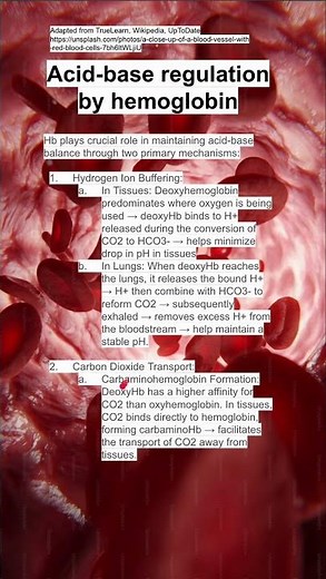 Acid-base regulation by hemoglobin